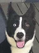 Andy